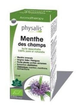 Physalis Peppermint essence 10 ml 