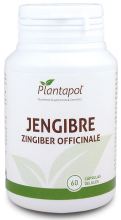 Ginger 60 Capsules 500mg