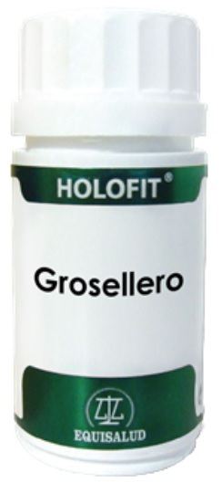 Equisalud Holofit Grosellero 50CAP.