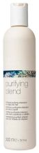 Champ&uacute; Purifying Blend 300 ml